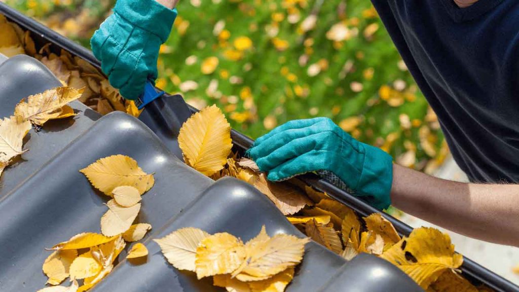 Gutter Cleaning Limerick