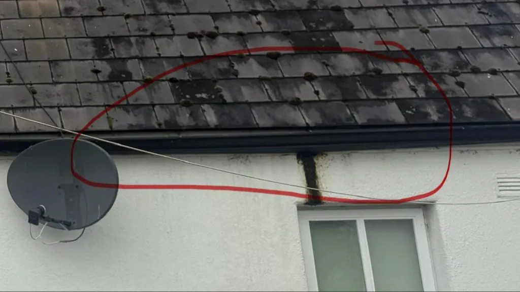 Complete Gutter Services in Cork – Installation, Repair, and Maintenance Explained