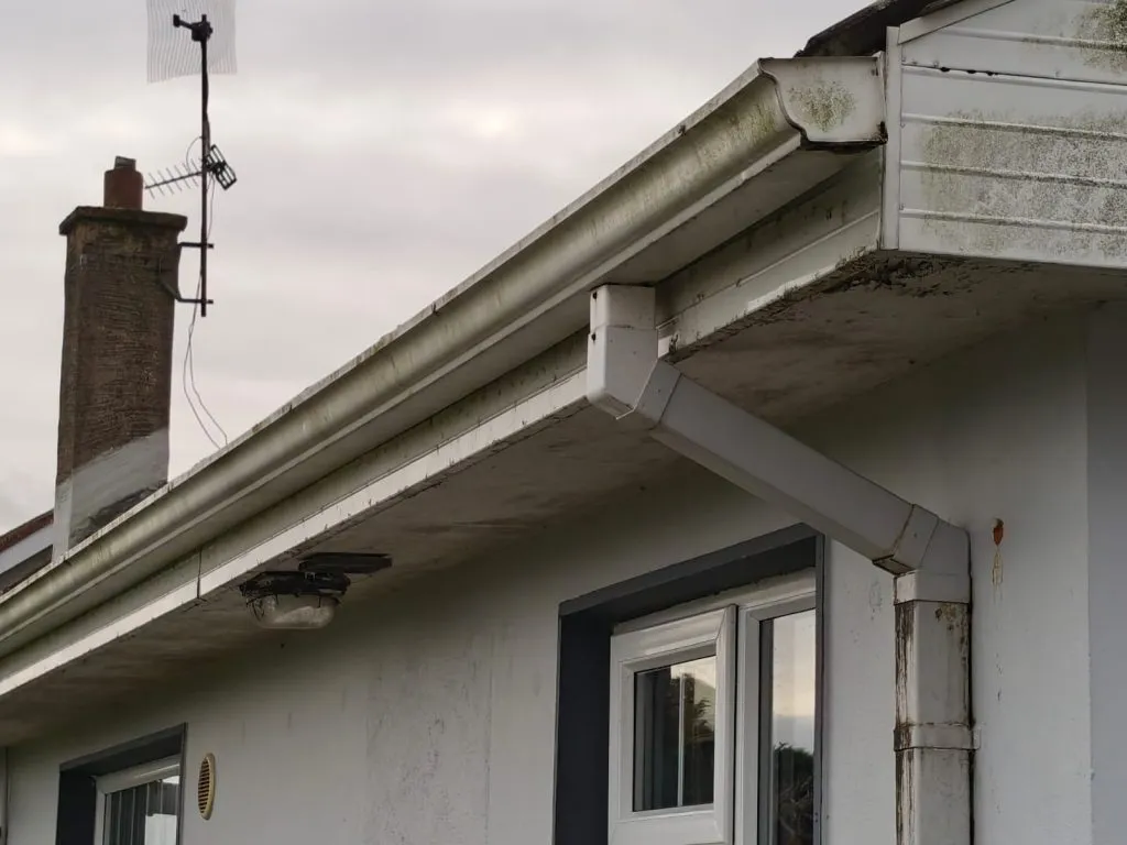 Common Guttering Issues In Cork City?